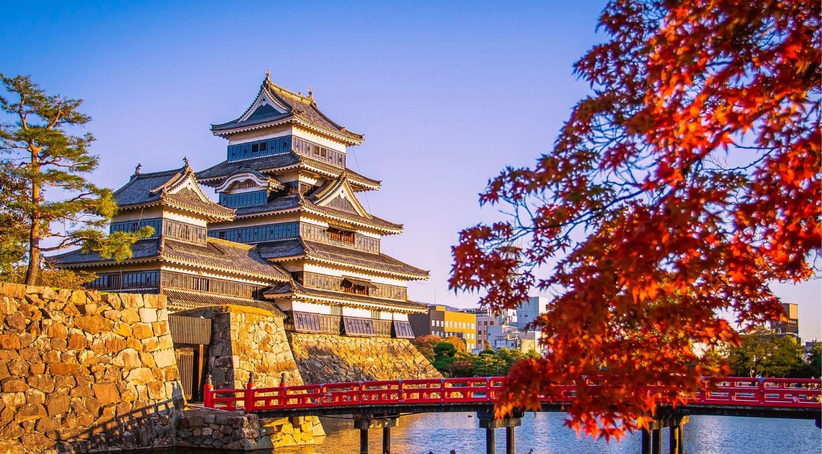 Matsumoto Castle's black keep beside the red Kurobashi Bridge in autumn foliage